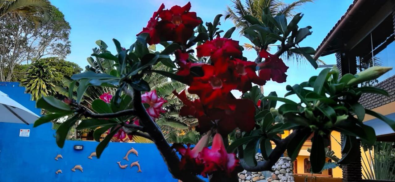 Pousada A Flor Da Terra Porto Seguro Exteriér fotografie